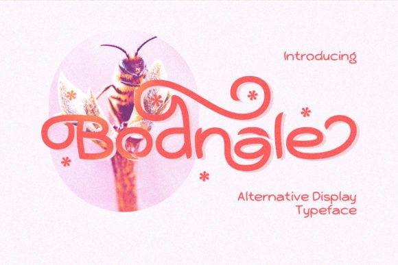 Bodnale Font Review: Quirky Elegance for Modern Design