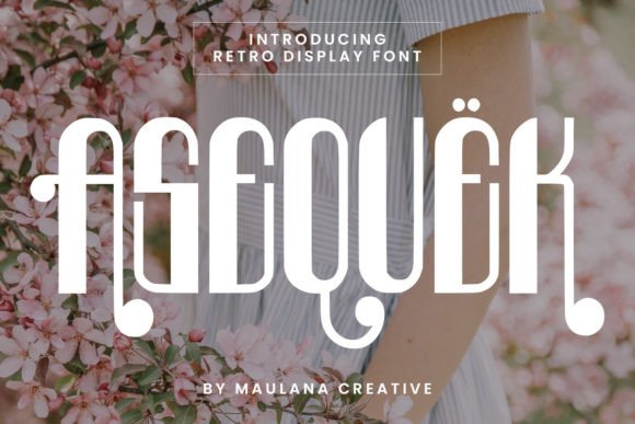 Boost Campaigns with Asequek Retro Display Fonts