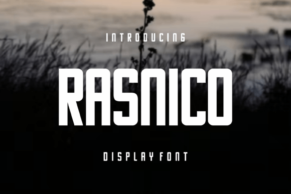 Rasnico: The Bold Display Font for High-Impact Branding